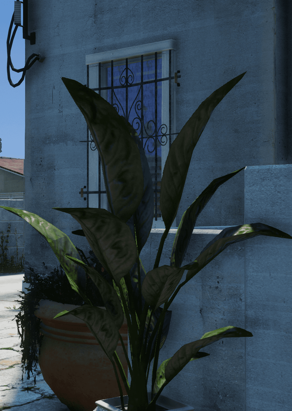 Plant
